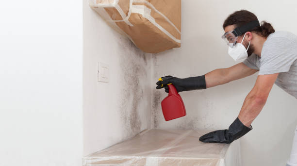 Professional Attic Mold Removal technician working in Clinton, MI