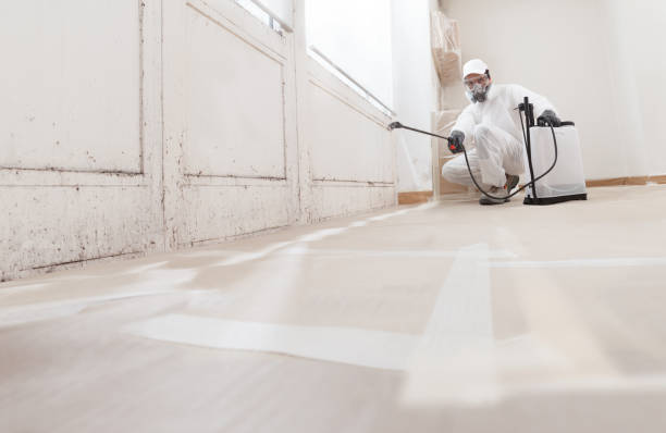 24/7 Emergency Attic Mold Removal experts in Clinton, MI